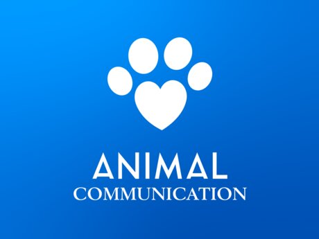 Animal Communication