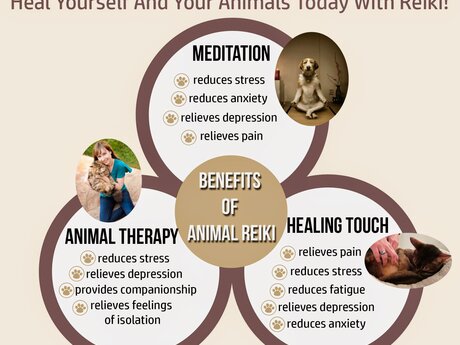 Distance animal reiki 