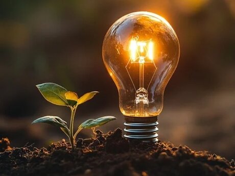 I will brainstorm your next steps