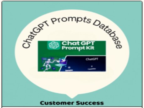 Prompt kit -  Customer Success