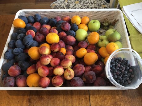 Excess seasonal edibles
