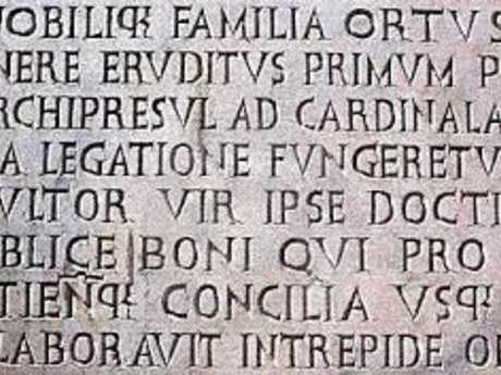 Latin translation and grammar check