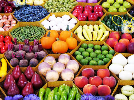 Gourmet Vegetarian or Vegan Meals 