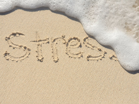 Stress relief advice 
