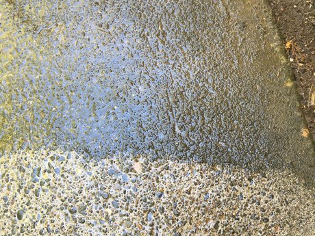 Driveway/Patio Pressure washing