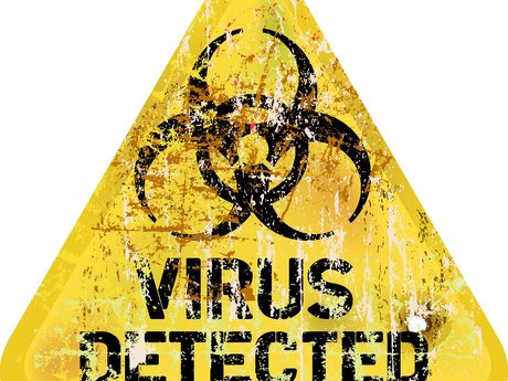 Virus Removal