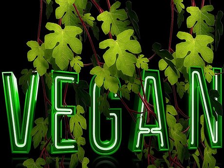 Vegan recipes and lessons!