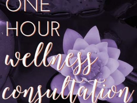 Wellness Consultation- 1 hour