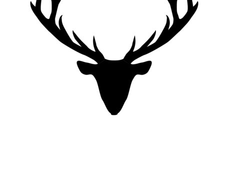 I can create an awesome website! 