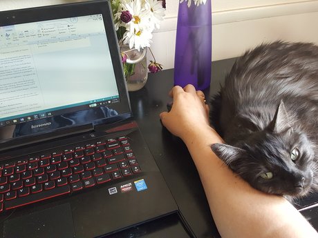 Proof reading & editing