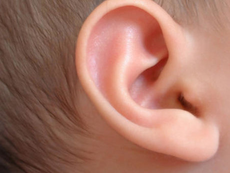 listener
