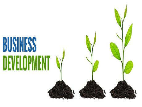 Business Development services