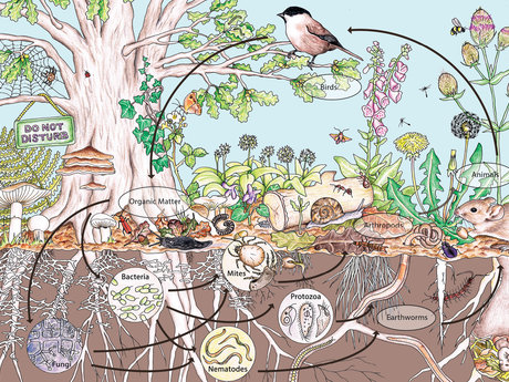 Permaculture Consultation