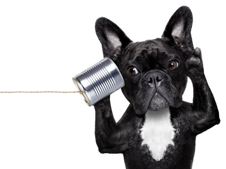 15-Minute Active Listener