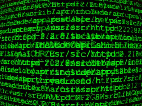 Research any topic on the internet