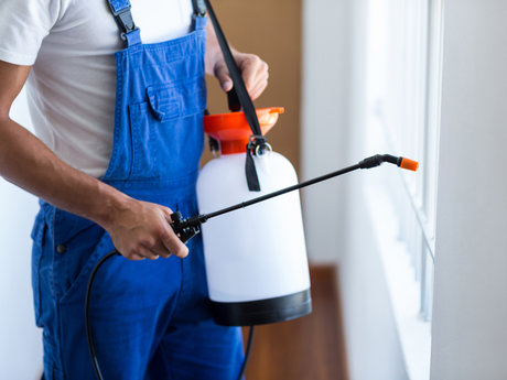 Pest control advisor