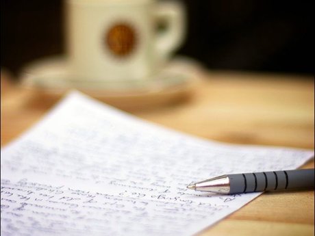 Essay Writing Assistance 