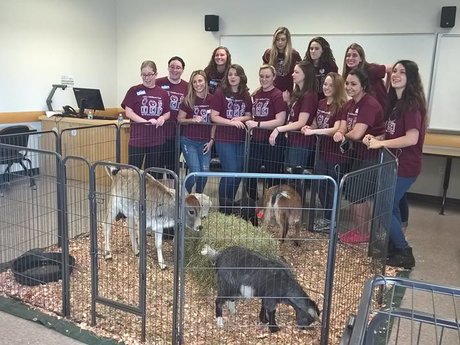 1 hour petting zoo 
