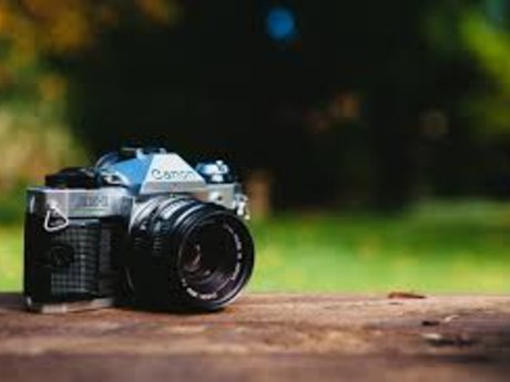 Professional Photographer