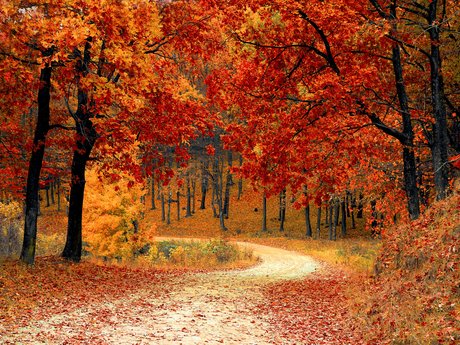 Landscape/Nature stock photos