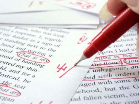 Essay/Writing Editing 