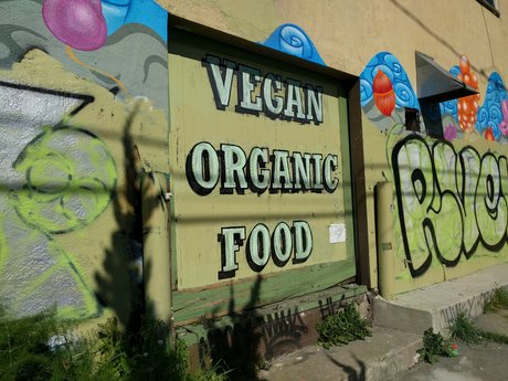 Vegan consultant