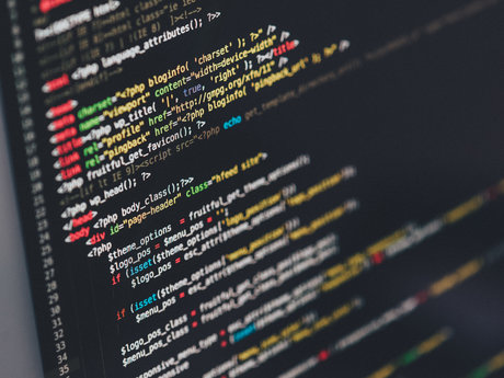WordPress Website