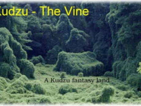 A true story in kudzu legend.