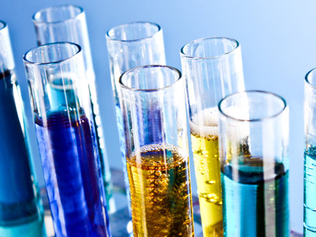 Tutor Biological/Natural Sciences