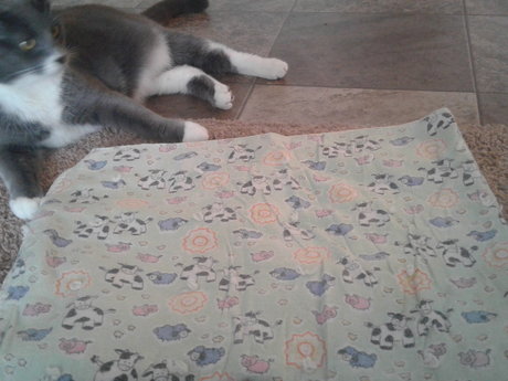 Sewing lessons!