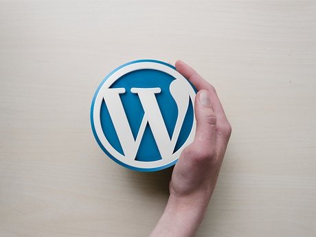Wordpress Consultation