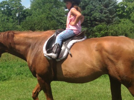 Hour long Equestrian riding lesson