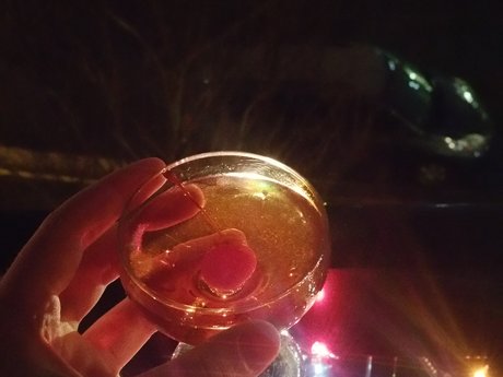 Beginer's Mixology Lesson