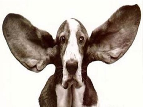 A damn good listener!