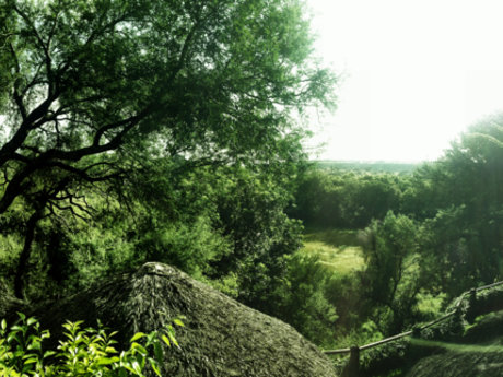 Green as I can see! 