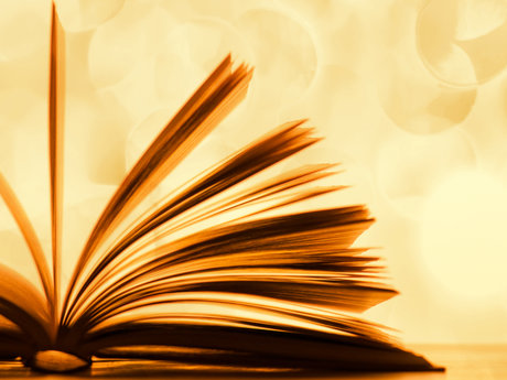 Fanfiction writer