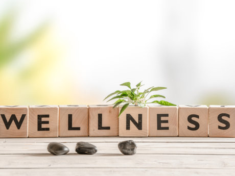 Wellness consultation