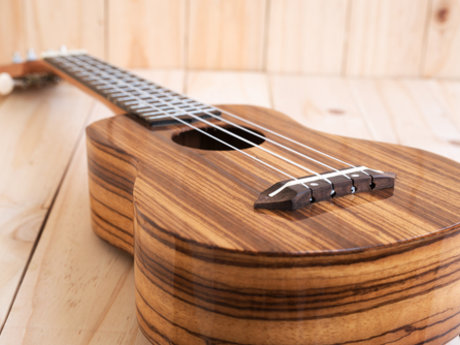 Ukelele Lessons (up to an hour)