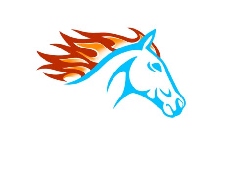Custom Business Logo Designing