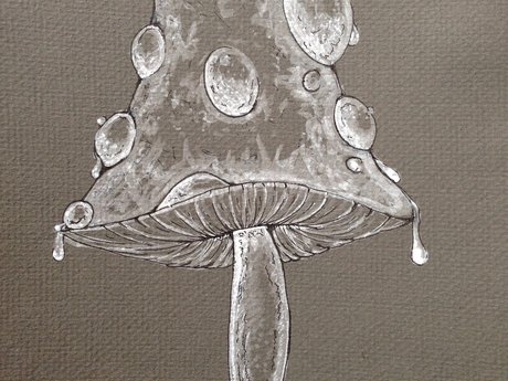 Psychedelic ink  Illustrations 