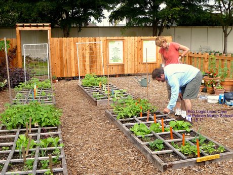 Volunteer Gardens Ottawa
