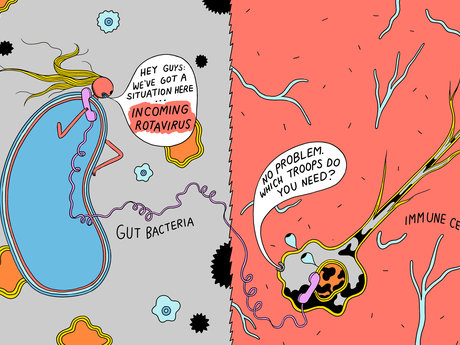 Boost your Microbial Diversity