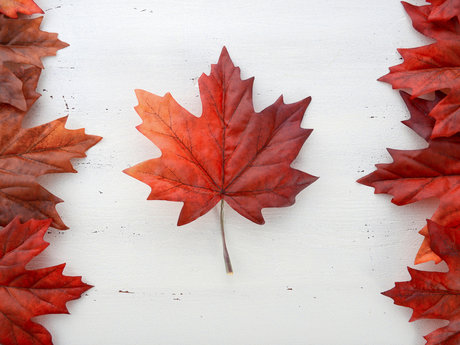Canadian immigration consulting