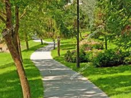 Walk in the park