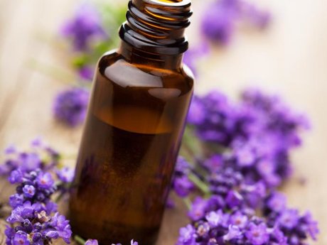 Learn about Essential Oils 