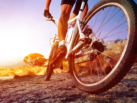 Mountain Biking Buddy