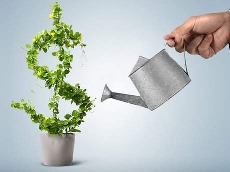 Financial Advisor 