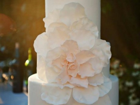 Cake or desert of your choice. 